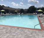 First floor, 2 bed/1bath with den & big closets