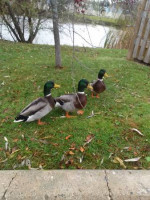 Looking for a 1 bedroom apartment?? Look no further!!