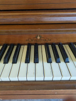 Piano for sale with delivery