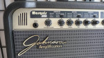 Vintage Johnson JM60 Marquis Modeling Combo Amp _ MINT