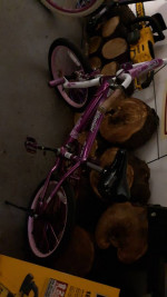 Kids bicycle with rear and front brake