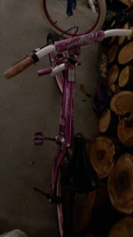 Kids bicycle with rear and front brake