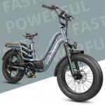 Fucare Libra E-bike 1200 W