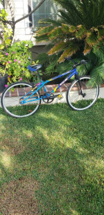 Gt pro series mini bmx bike