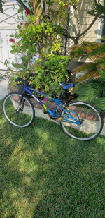 Gt pro series mini bmx bike