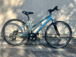 evo grand rapid. 17” frame. 5’6” to 5’10” height