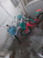 2 bikes 1 womans and I girls