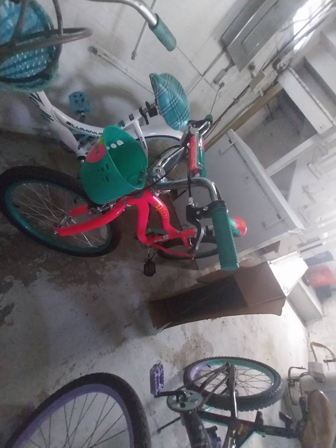 2 bikes 1 womans and I girls