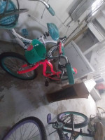 2 bikes 1 womans and I girls