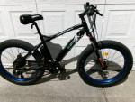 Ecotric SportCool (Aluminum Frame) 26"Aluminum 4"Tires 7- Speed