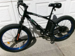 Ecotric SportCool (Aluminum Frame) 26"Aluminum 4"Tires 7- Speed