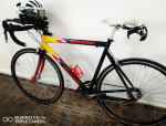 Bicycle Maya Superior