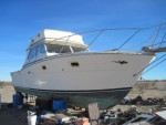 1975 35 viking  Sport fisher