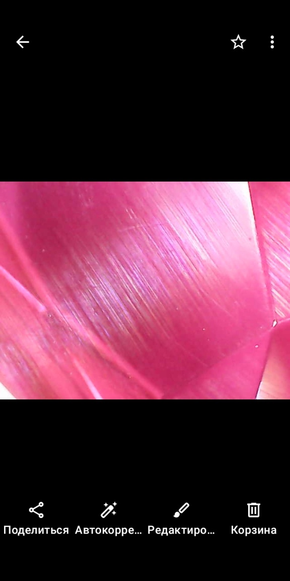 Ruby clean big