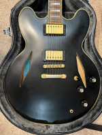 Epiphone Emily Wolfe Signature Sheraton 2021 - Present - Stealth Black