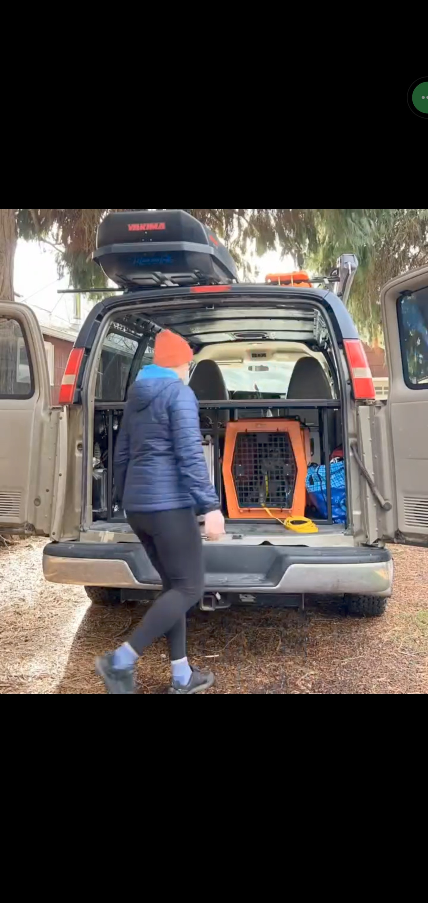 Good with kids and other dogs