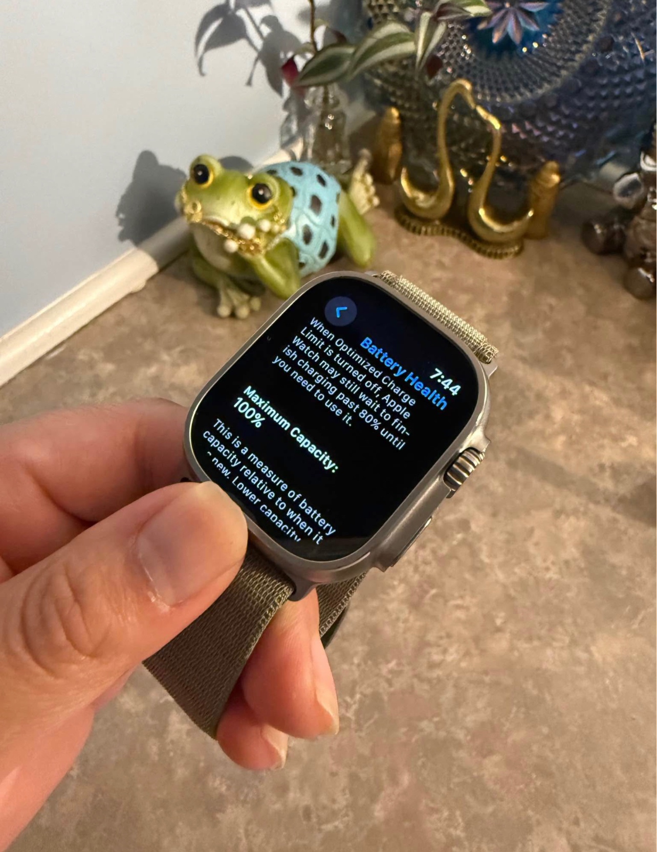 Apple Watch Ultra 1 49 mm new