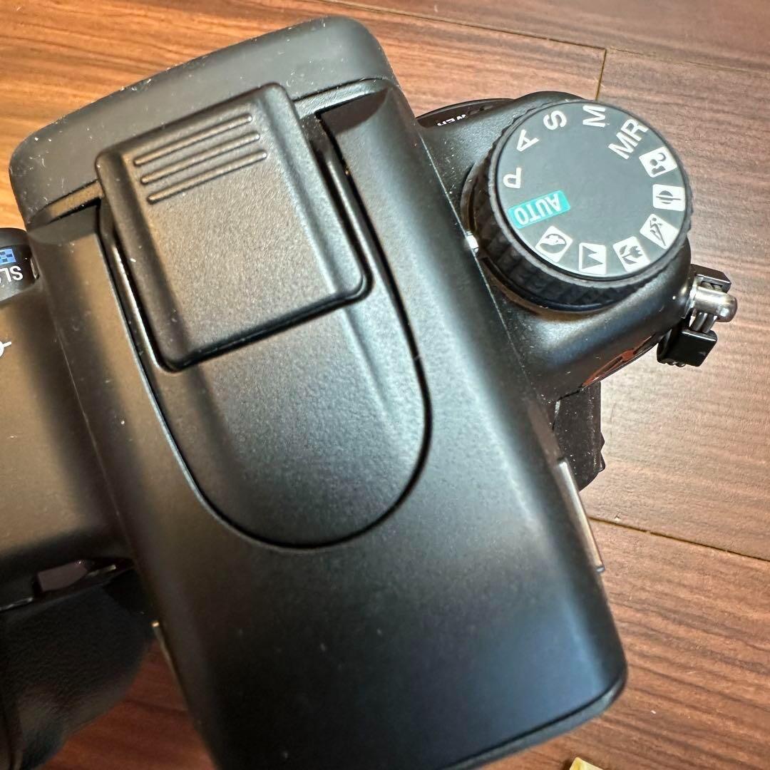 Sony a700 DSLR-A700 SLR 2410 From Abbeville AL