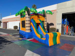 Blossom party rentals