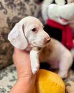 Our six week Zero
