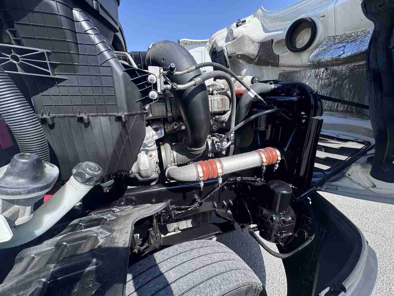 Used 2020 FREIGHTLINER Conventional - Sleeper Truck CASCADIA 126