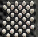 Fertile parrots eggs and parrots for sale