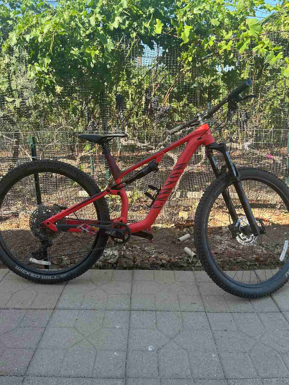 Canyon  Neuron 5 2022