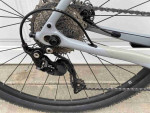 2021 Trek  Checkpoint SL 5