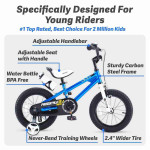 ROYAL BABY KID BIKE