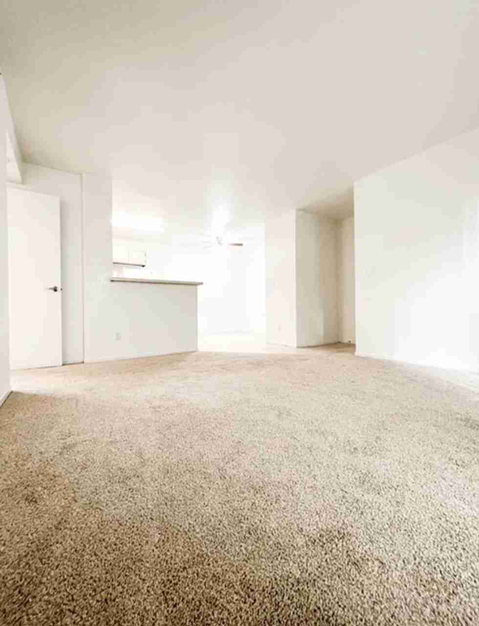 3 bedrooms for rent
