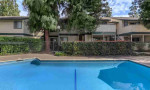 3 bedrooms for rent