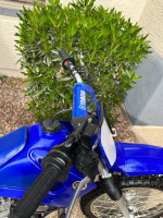 2003 yamaha ttr125