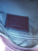 Coach Brown Leather Hand Bag Purse ~ Excellent Condition