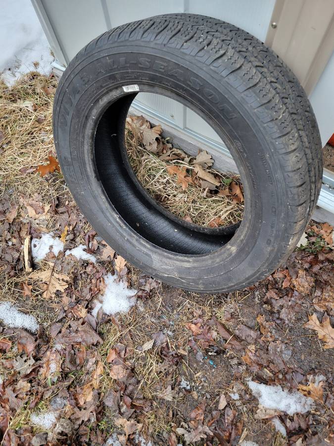 Goodyear All Season Tire (1)  205/55R16